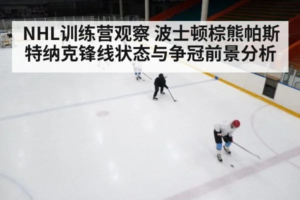 NHL训练营观察 波士顿棕熊帕斯特纳克锋线状态与争冠前景分析